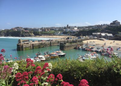 The harbour newquay